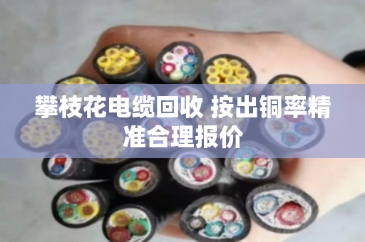 攀枝花电缆回收 按出铜率精准合理报价