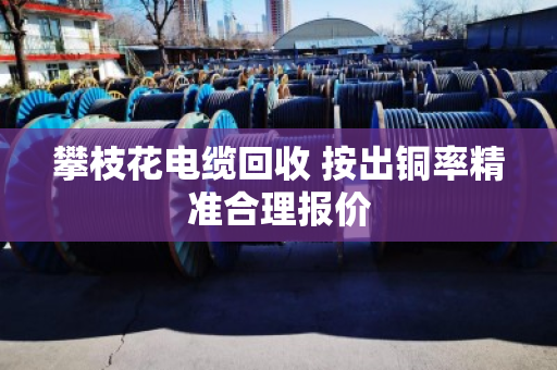 攀枝花电缆回收 按出铜率精准合理报价