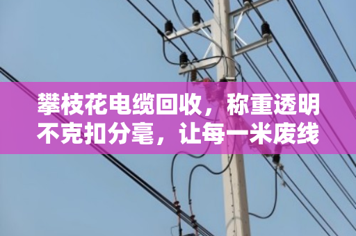 攀枝花电缆回收，称重透明不克扣分毫，让每一米废线都卖出明白价