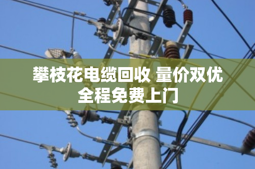 攀枝花电缆回收 量价双优全程免费上门