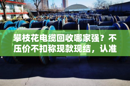 攀枝花电缆回收哪家强？不压价不扣称现款现结，认准泊祎回收