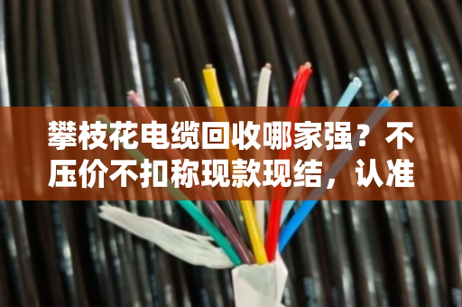 攀枝花电缆回收哪家强？不压价不扣称现款现结，认准泊祎回收