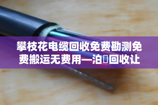 攀枝花电缆回收免费勘测免费搬运无费用—泊祎回收让废旧电缆变废为宝 攀枝花电缆回收免费勘测免费搬运无费用—泊祎回收让废旧电缆变废为宝