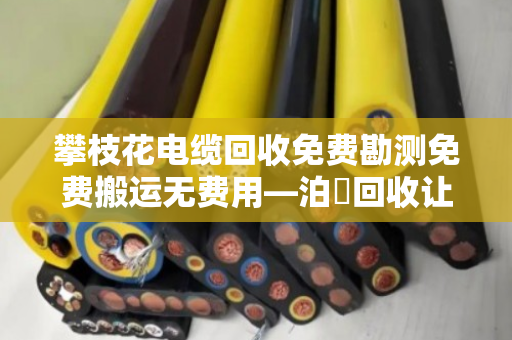 攀枝花电缆回收免费勘测免费搬运无费用—泊祎回收让废旧电缆变废为宝 攀枝花电缆回收免费勘测免费搬运无费用—泊祎回收让废旧电缆变废为宝