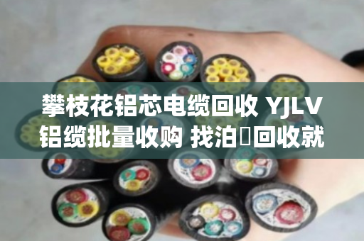 攀枝花铝芯电缆回收 YJLV铝缆批量收购 找泊祎回收就对了