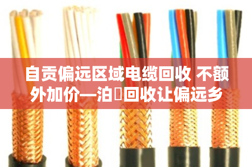 自贡偏远区域电缆回收 不额外加价—泊祎回收让偏远乡镇的废旧电缆也能卖出实在价 自贡偏远区域电缆回收 不额外加价—泊祎回收让偏远乡镇的废旧电缆也能卖出实在价