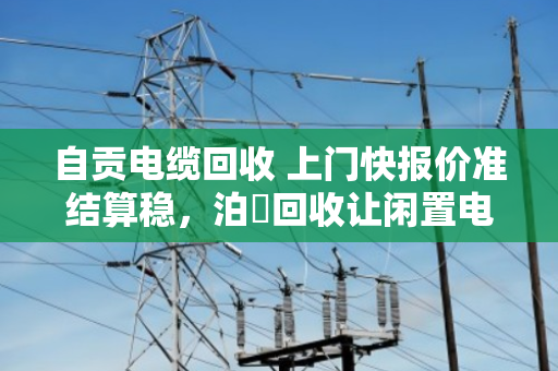 自贡电缆回收 上门快报价准结算稳,泊祎回收让闲置电缆变现不再难 自贡电缆回收 上门快报价准结算稳,泊祎回收让闲置电缆变现不再难