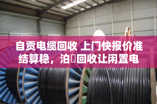 自贡电缆回收 上门快报价准结算稳,泊祎回收让闲置电缆变现不再难 自贡电缆回收 上门快报价准结算稳,泊祎回收让闲置电缆变现不再难