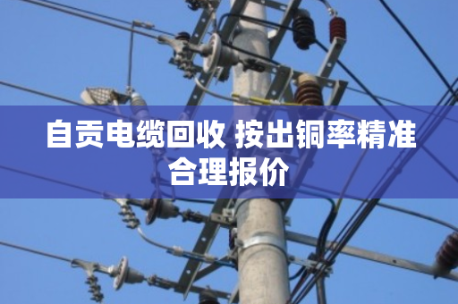 自贡电缆回收 按出铜率精准合理报价 自贡电缆回收 按出铜率精准合理报价