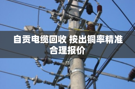 自贡电缆回收 按出铜率精准合理报价 自贡电缆回收 按出铜率精准合理报价