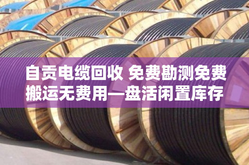 自贡电缆回收 免费勘测免费搬运无费用—盘活闲置库存，就找泊祎回收