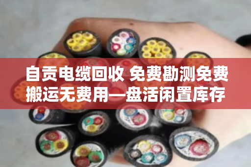 自贡电缆回收 免费勘测免费搬运无费用—盘活闲置库存，就找泊祎回收