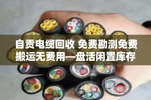 自贡电缆回收 免费勘测免费搬运无费用—盘活闲置库存，就找泊祎回收