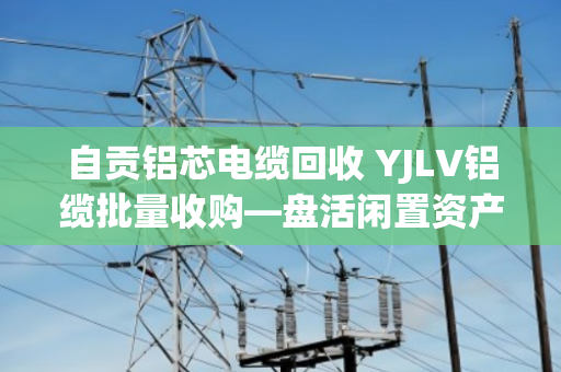 自贡铝芯电缆回收 YJLV铝缆批量收购—盘活闲置资产,就找泊祎回收 自贡铝芯电缆回收 YJLV铝缆批量收购—盘活闲置资产,就找泊祎回收