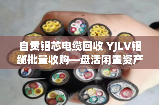 自贡铝芯电缆回收 YJLV铝缆批量收购—盘活闲置资产,就找泊祎回收 自贡铝芯电缆回收 YJLV铝缆批量收购—盘活闲置资产,就找泊祎回收