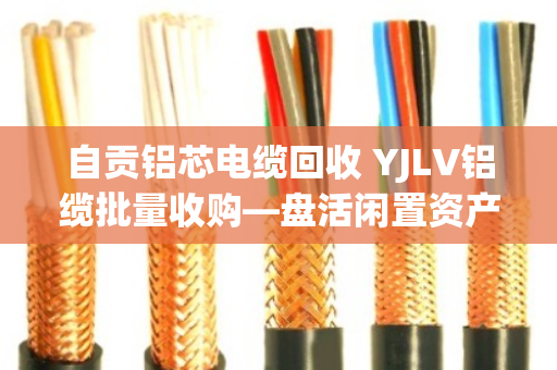 自贡铝芯电缆回收 YJLV铝缆批量收购—盘活闲置资产,就找泊祎回收 自贡铝芯电缆回收 YJLV铝缆批量收购—盘活闲置资产,就找泊祎回收