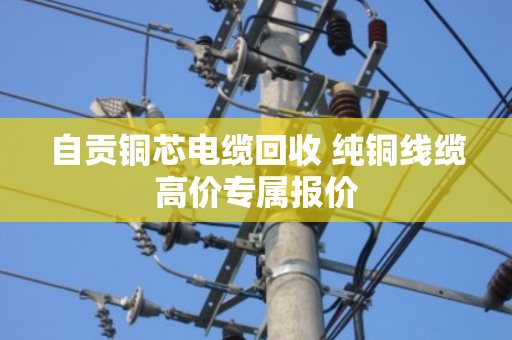 自贡铜芯电缆回收 纯铜线缆高价专属报价