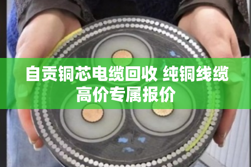 自贡铜芯电缆回收 纯铜线缆高价专属报价