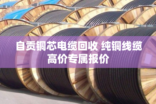 自贡铜芯电缆回收 纯铜线缆高价专属报价
