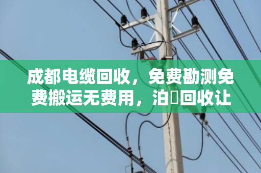 成都电缆回收,免费勘测免费搬运无费用,泊祎回收让闲置电缆变废为宝 成都电缆回收,免费勘测免费搬运无费用,泊祎回收让闲置电缆变废为宝
