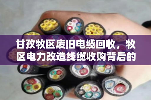 甘孜牧区废旧电缆回收,牧区电力改造线缆收购背后的故事与机遇 甘孜牧区废旧电缆回收,牧区电力改造线缆收购背后的故事与机遇