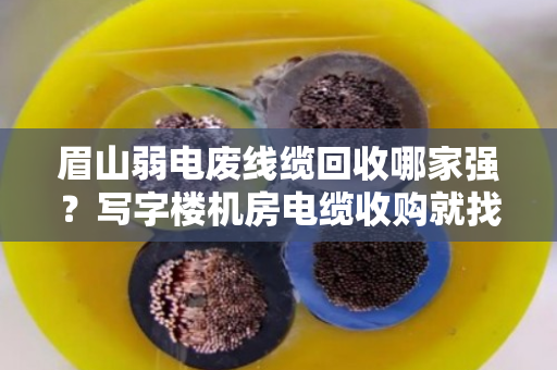 眉山弱电废线缆回收哪家强？写字楼机房电缆收购就找泊祎回收