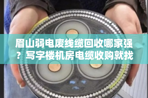 眉山弱电废线缆回收哪家强？写字楼机房电缆收购就找泊祎回收