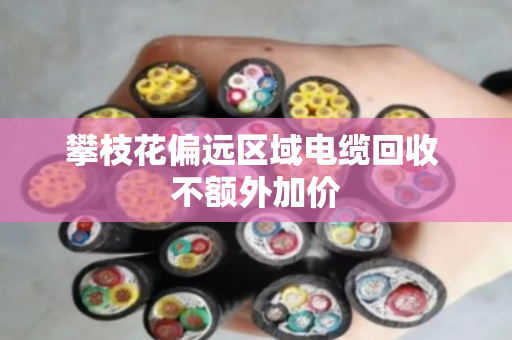 攀枝花偏远区域电缆回收 不额外加价