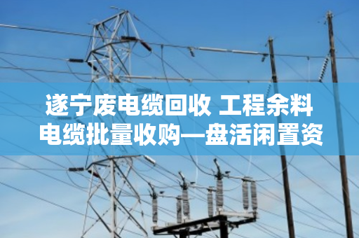 遂宁废电缆回收 工程余料电缆批量收购—盘活闲置资产,就找泊祎回收 遂宁废电缆回收 工程余料电缆批量收购—盘活闲置资产,就找泊祎回收