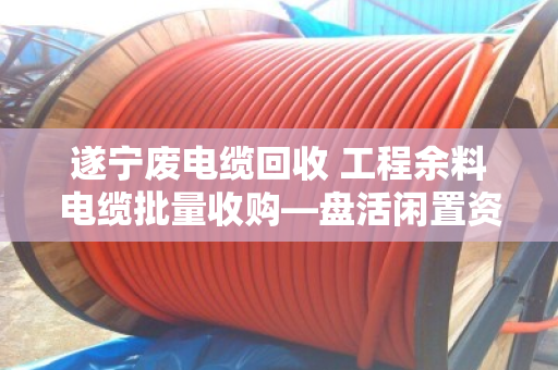 遂宁废电缆回收 工程余料电缆批量收购—盘活闲置资产,就找泊祎回收 遂宁废电缆回收 工程余料电缆批量收购—盘活闲置资产,就找泊祎回收