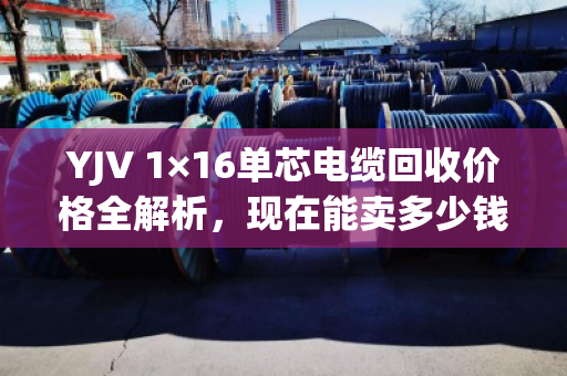 YJV 1×16单芯电缆回收价格全解析，现在能卖多少钱一斤？