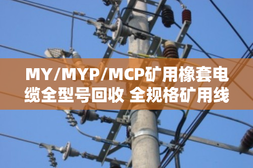 MY/MYP/MCP矿用橡套电缆全型号回收 全规格矿用线(泊祎回收一站式服务) MY/MYP/MCP矿用橡套电缆全型号回收 全规格矿用线(泊祎回收一站式服务)