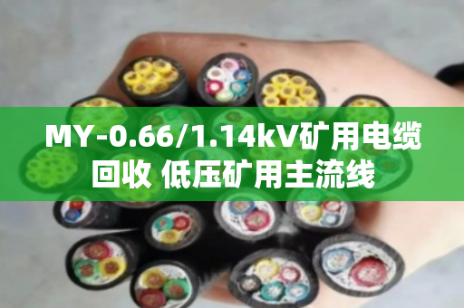 MY-0.66/1.14kV矿用电缆回收 低压矿用主流线 MY-0.66/1.14kV矿用电缆回收 低压矿用主流线