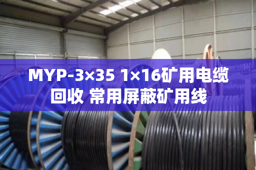 MYP-3×35 1×16矿用电缆回收 常用屏蔽矿用线 MYP-3×35 1×16矿用电缆回收 常用屏蔽矿用线