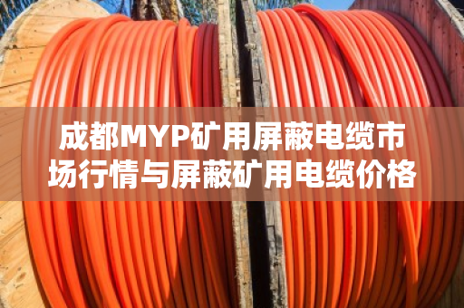 成都MYP矿用屏蔽电缆市场行情与屏蔽矿用电缆价格全解析 成都MYP矿用屏蔽电缆市场行情与屏蔽矿用电缆价格全解析