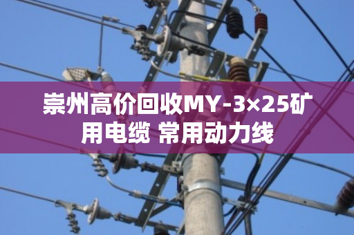 崇州高价回收MY-3×25矿用电缆 常用动力线 崇州高价回收MY-3×25矿用电缆 常用动力线