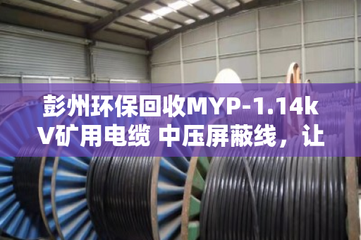 彭州环保回收MYP-1.14kV矿用电缆 中压屏蔽线,让废旧电缆变废为宝 彭州环保回收MYP-1.14kV矿用电缆 中压屏蔽线,让废旧电缆变废为宝