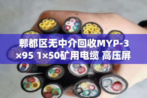 郫都区无中介回收MYP-3×95 1×50矿用电缆 高压屏蔽线 郫都区无中介回收MYP-3×95 1×50矿用电缆 高压屏蔽线