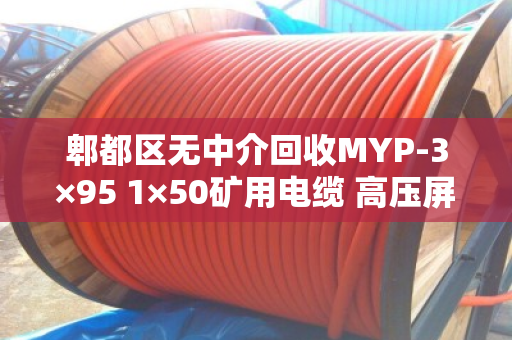 郫都区无中介回收MYP-3×95 1×50矿用电缆 高压屏蔽线 郫都区无中介回收MYP-3×95 1×50矿用电缆 高压屏蔽线