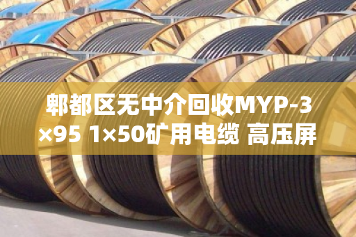 郫都区无中介回收MYP-3×95 1×50矿用电缆 高压屏蔽线 郫都区无中介回收MYP-3×95 1×50矿用电缆 高压屏蔽线