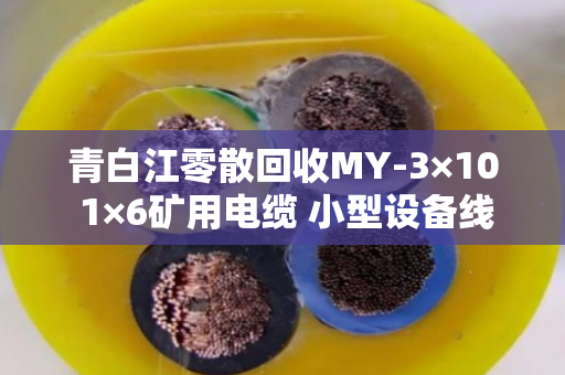 青白江零散回收MY-3×10 1×6矿用电缆 小型设备线，找泊祎回收省心又靠谱