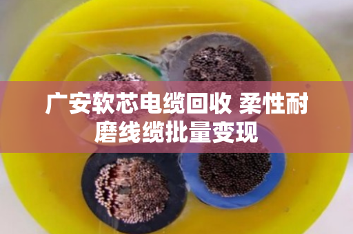 广安软芯电缆回收 柔性耐磨线缆批量变现 广安软芯电缆回收 柔性耐磨线缆批量变现