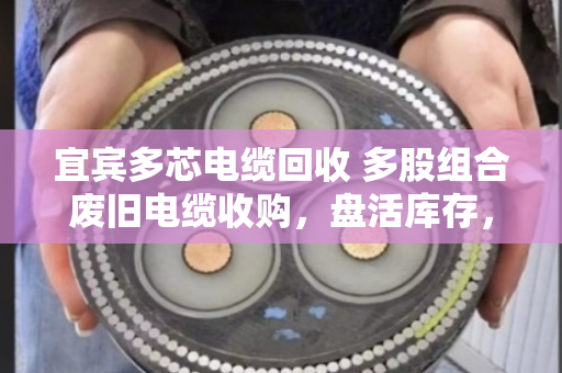 宜宾多芯电缆回收 多股组合废旧电缆收购,盘活库存,变废为宝 宜宾多芯电缆回收 多股组合废旧电缆收购,盘活库存,变废为宝