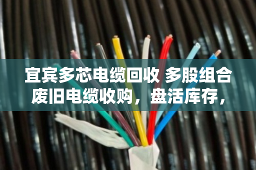 宜宾多芯电缆回收 多股组合废旧电缆收购,盘活库存,变废为宝 宜宾多芯电缆回收 多股组合废旧电缆收购,盘活库存,变废为宝