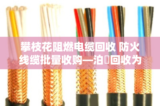攀枝花阻燃电缆回收 防火线缆批量收购—泊祎回收为您盘活闲置资产 攀枝花阻燃电缆回收 防火线缆批量收购—泊祎回收为您盘活闲置资产