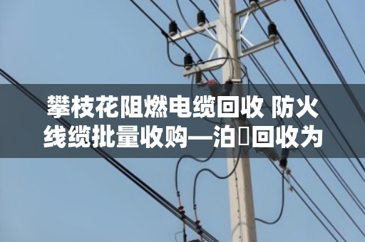 攀枝花阻燃电缆回收 防火线缆批量收购—泊祎回收为您盘活闲置资产 攀枝花阻燃电缆回收 防火线缆批量收购—泊祎回收为您盘活闲置资产