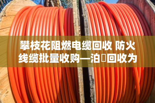 攀枝花阻燃电缆回收 防火线缆批量收购—泊祎回收为您盘活闲置资产 攀枝花阻燃电缆回收 防火线缆批量收购—泊祎回收为您盘活闲置资产