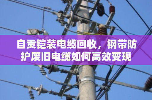 自贡铠装电缆回收,钢带防护废旧电缆如何高效变现 自贡铠装电缆回收,钢带防护废旧电缆如何高效变现