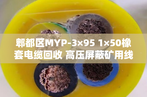 郫都区MYP-3×95 1×50橡套电缆回收 高压屏蔽矿用线回收指南 郫都区MYP-3×95 1×50橡套电缆回收 高压屏蔽矿用线回收指南