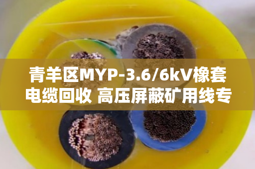 青羊区MYP-3.6/6kV橡套电缆回收 高压屏蔽矿用线专业处置指南 青羊区MYP-3.6/6kV橡套电缆回收 高压屏蔽矿用线专业处置指南
